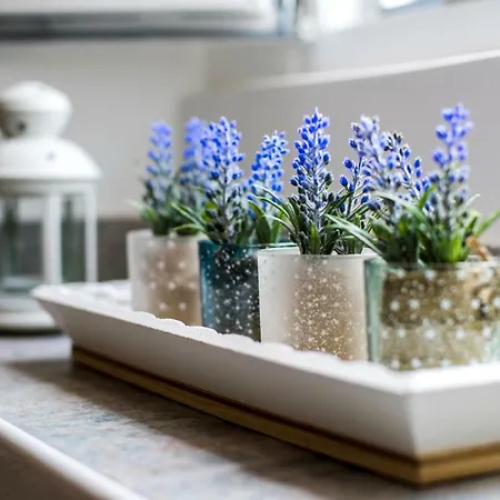 Nona Lena Studio Apartman *